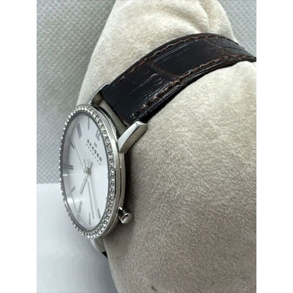 Skagen Denmark SKW2284 Women Brown Leather Analog Dial Quartz Wrist Watch AEA246 main image 11